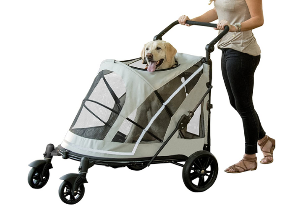 Exploring the Benefits of a Pet Gear Stroller for Your Furry Companion