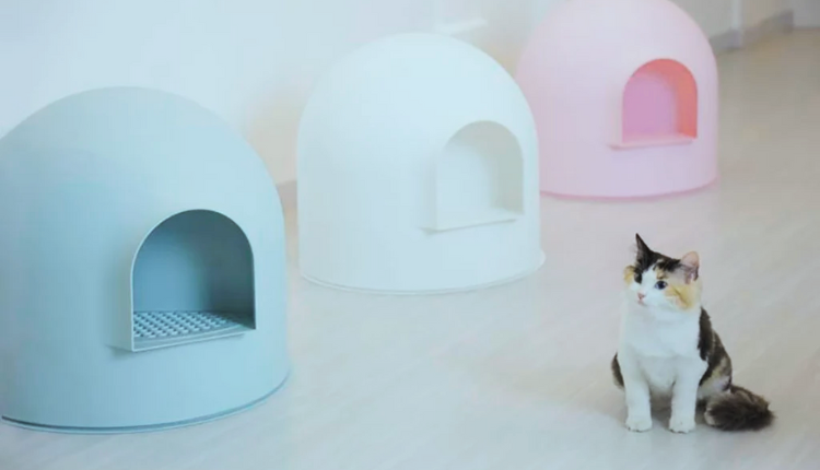 Pidan Snow House Igloo Cat Litter Box