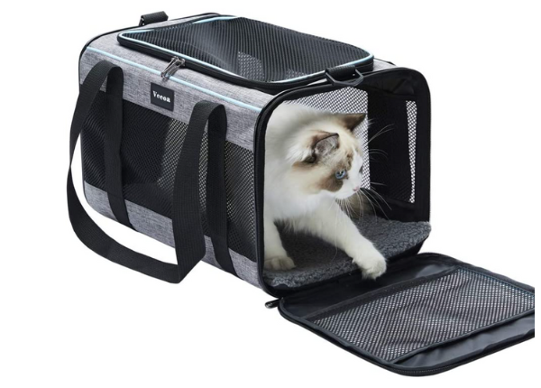 What Is Small Pet Carrier