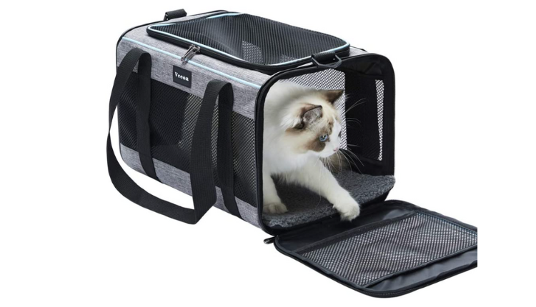 What Is Small Pet Carrier