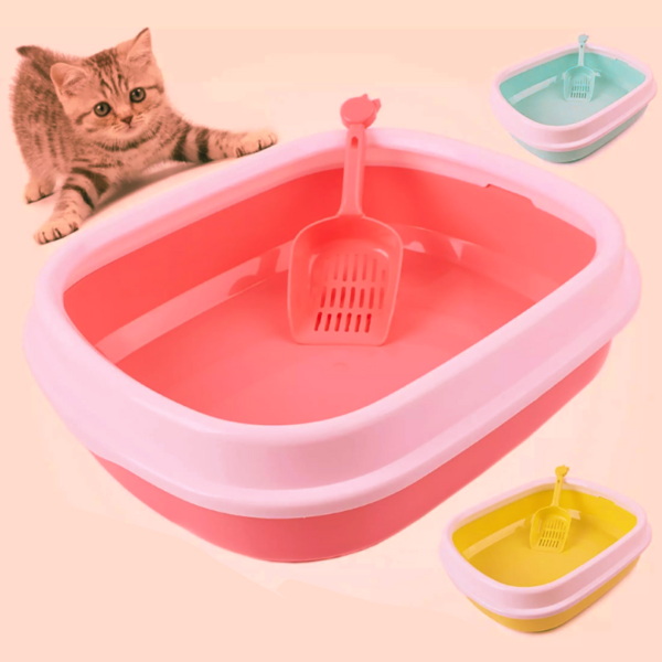 How to choose the best cat box for litter box?