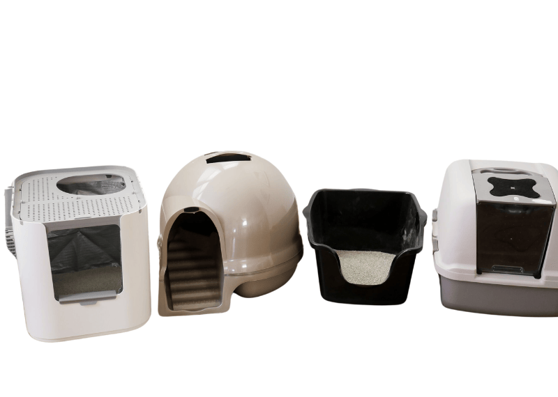 Best Cat Litter Box for Odor Control: Ultimate Freshness Guide